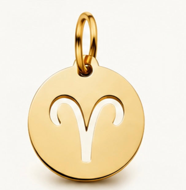 Détail du pendentif astrologique en acier inoxydable